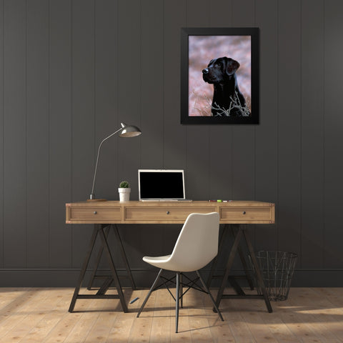Js75-B Black Modern Wood Framed Art Print by Silver, John