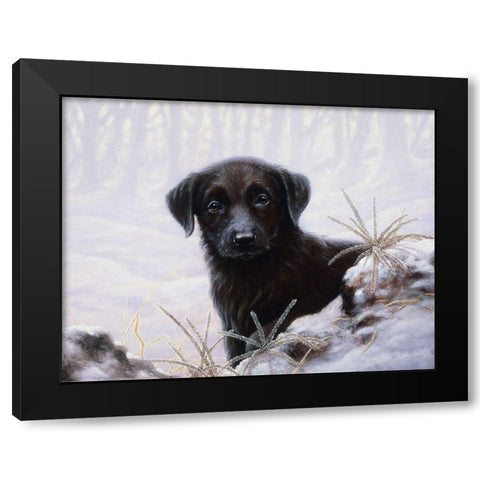 Js64-A Black Modern Wood Framed Art Print by Silver, John