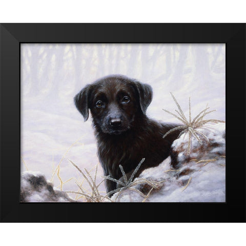 Js64-A Black Modern Wood Framed Art Print by Silver, John
