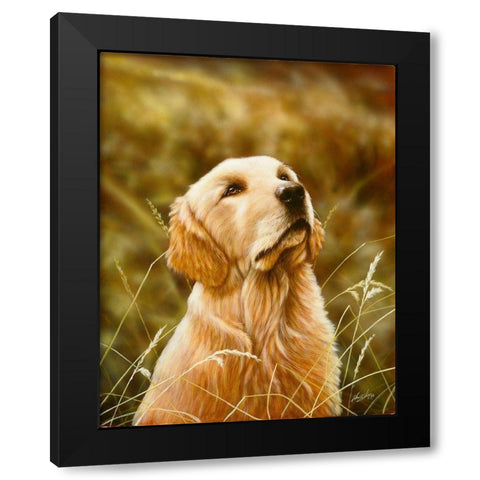 Js69-B Black Modern Wood Framed Art Print by Silver, John