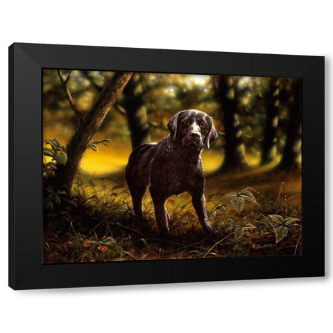 Js6-B Black Modern Wood Framed Art Print with Double Matting by Silver, John