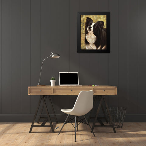 010c Black Modern Wood Framed Art Print by Silver, John