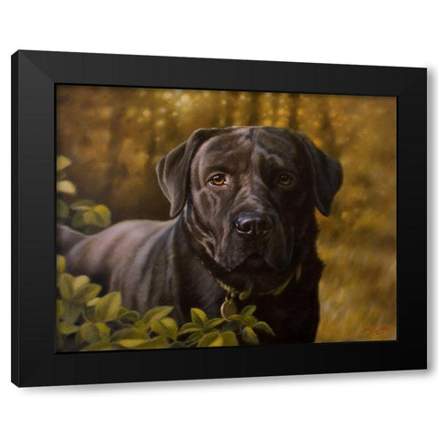 19 Black Modern Wood Framed Art Print by Silver, John