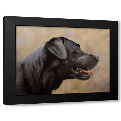 D068 Black Modern Wood Framed Art Print by Silver, John