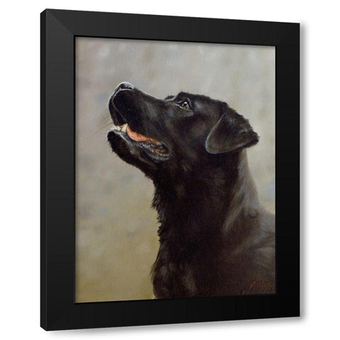 D072b Black Modern Wood Framed Art Print by Silver, John