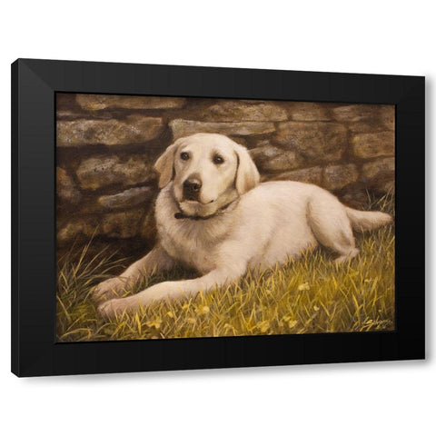 320 Black Modern Wood Framed Art Print by Silver, John