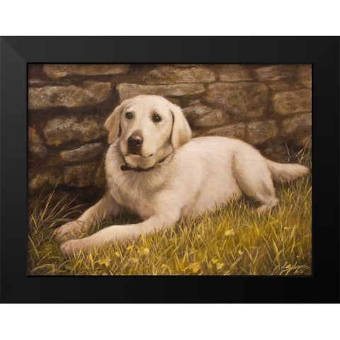 320 Black Modern Wood Framed Art Print by Silver, John