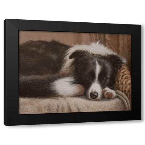 396 Border Collie Black Modern Wood Framed Art Print by Silver, John