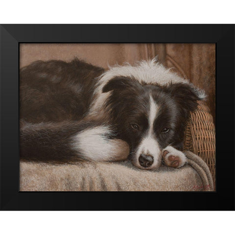 396 Border Collie Black Modern Wood Framed Art Print by Silver, John