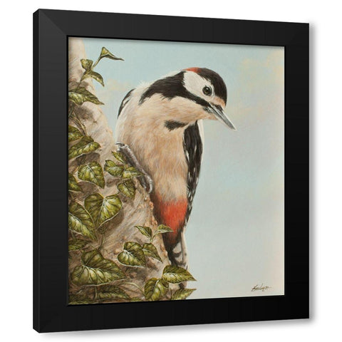 WoodPecker and Ivy Black Modern Wood Framed Art Print with Double Matting by Silver, John