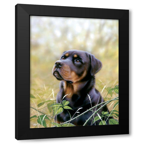 Spirit Of Loyalty Black Modern Wood Framed Art Print with Double Matting by Silver, John