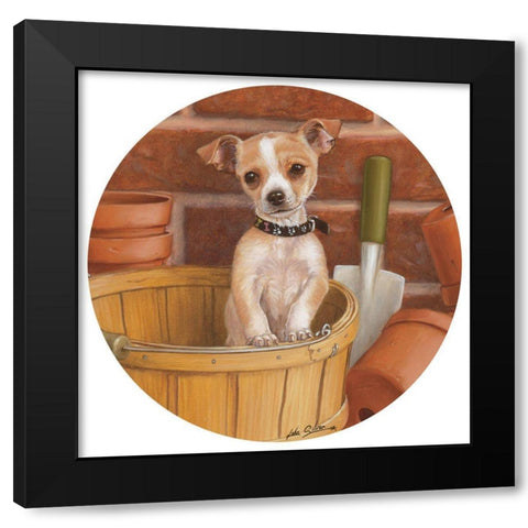 Chihuahua In Basket Black Modern Wood Framed Art Print with Double Matting by Silver, John