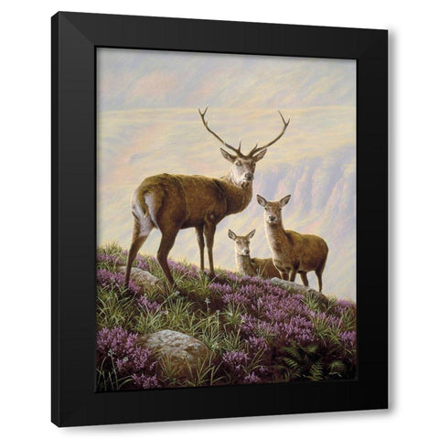 Js29-B Black Modern Wood Framed Art Print with Double Matting by Silver, John
