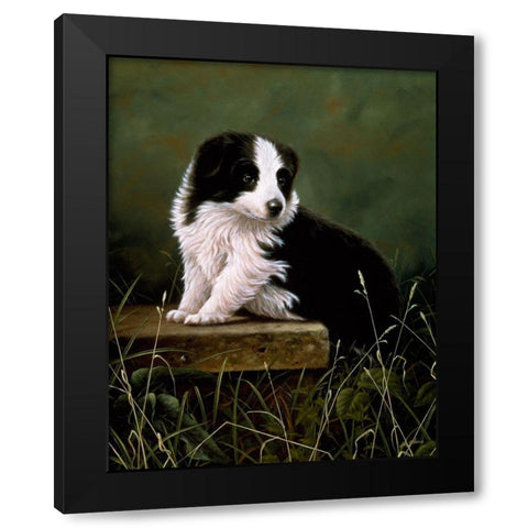 Js42-A Black Modern Wood Framed Art Print with Double Matting by Silver, John