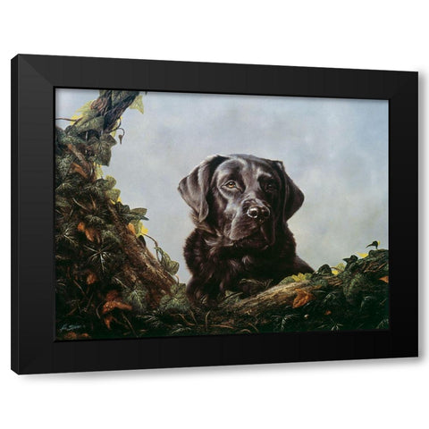 Js9-F Black Modern Wood Framed Art Print by Silver, John