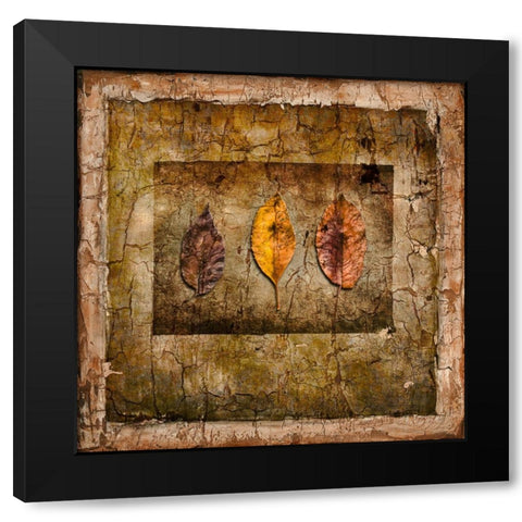 Autumn Leaves I Black Modern Wood Framed Art Print with Double Matting by LightBoxJournal