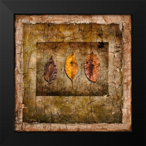 Autumn Leaves I Black Modern Wood Framed Art Print by LightBoxJournal