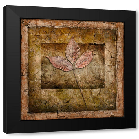 Autumn Leaves II Black Modern Wood Framed Art Print with Double Matting by LightBoxJournal