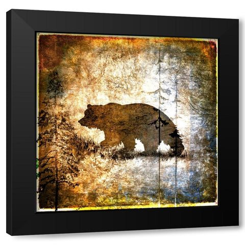 High Country Bear Black Modern Wood Framed Art Print with Double Matting by LightBoxJournal
