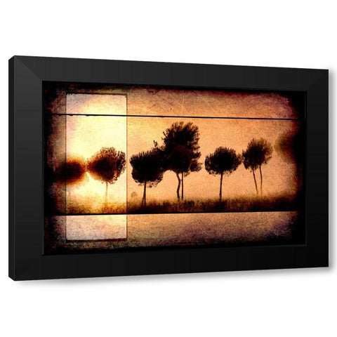 For the Love of Trees I Black Modern Wood Framed Art Print with Double Matting by LightBoxJournal