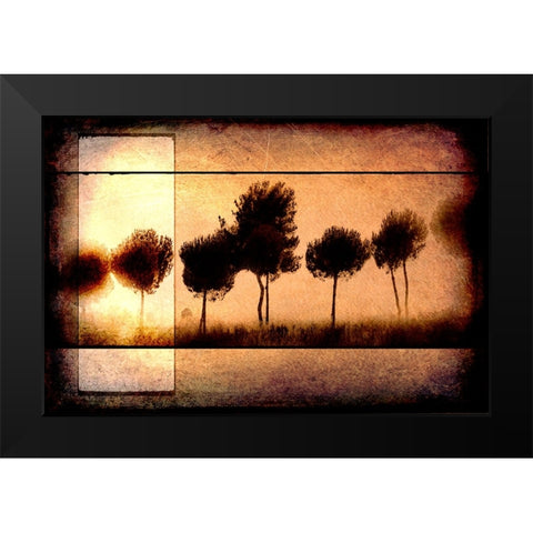 For the Love of Trees I Black Modern Wood Framed Art Print by LightBoxJournal