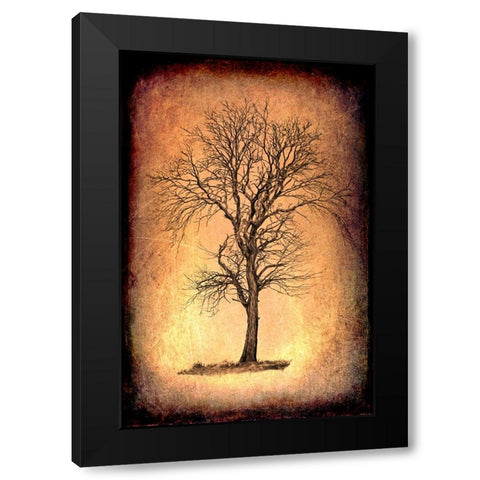 For the Love of Trees II Black Modern Wood Framed Art Print by LightBoxJournal