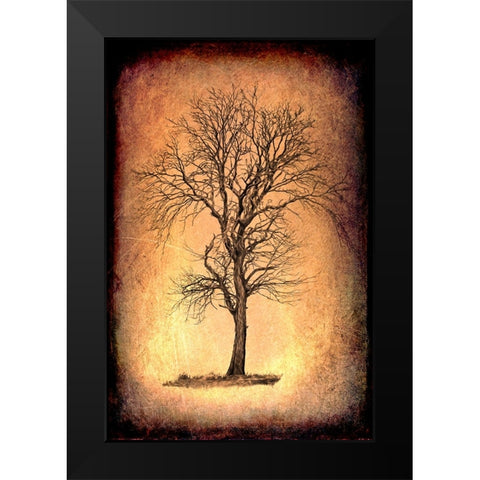 For the Love of Trees II Black Modern Wood Framed Art Print by LightBoxJournal