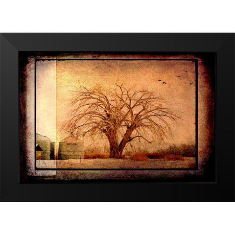 For the Love of Trees IV Black Modern Wood Framed Art Print by LightBoxJournal