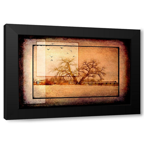 For the Love of Trees V Black Modern Wood Framed Art Print by LightBoxJournal