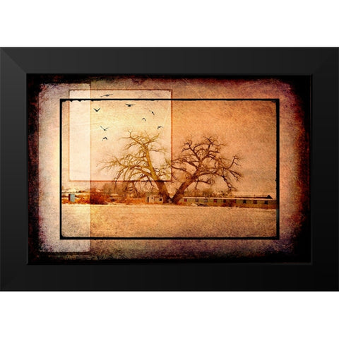 For the Love of Trees V Black Modern Wood Framed Art Print by LightBoxJournal