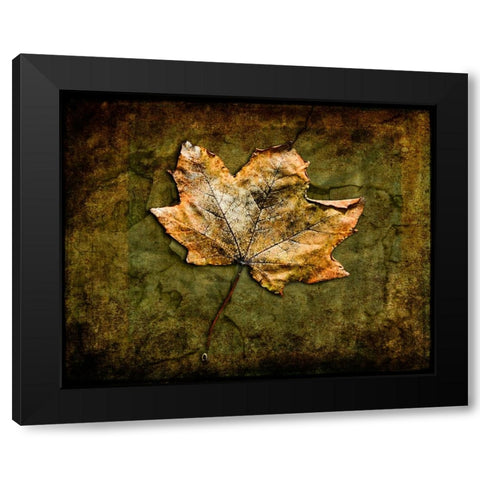 Metallic Leaf 1 Black Modern Wood Framed Art Print by LightBoxJournal