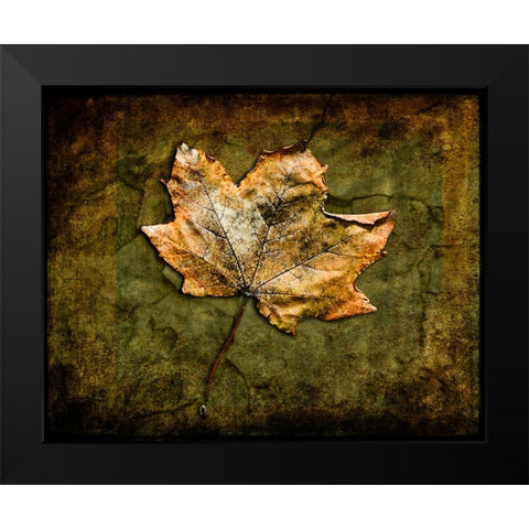 Metallic Leaf 1 Black Modern Wood Framed Art Print by LightBoxJournal