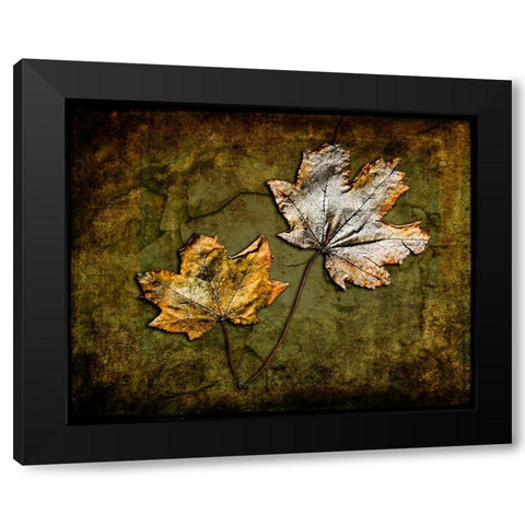Metallic Leaf 2 Black Modern Wood Framed Art Print with Double Matting by LightBoxJournal
