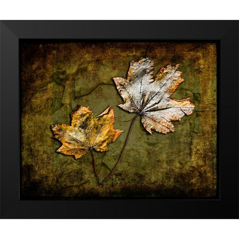 Metallic Leaf 2 Black Modern Wood Framed Art Print by LightBoxJournal