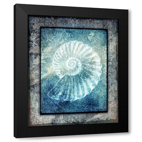 Hello Beach Shell I Black Modern Wood Framed Art Print by LightBoxJournal