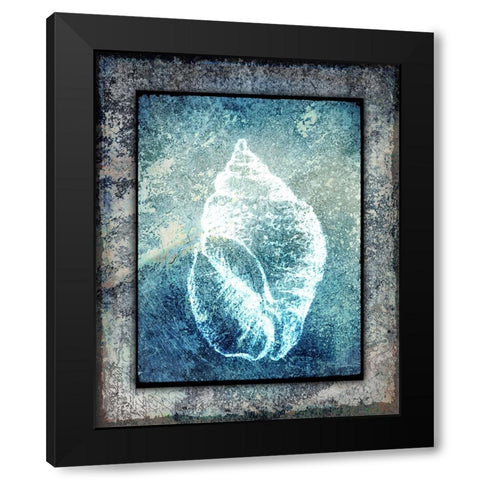 Hello Beach Shell II Black Modern Wood Framed Art Print with Double Matting by LightBoxJournal