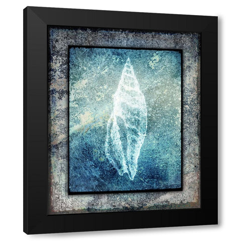 Hello Beach Shell III Black Modern Wood Framed Art Print by LightBoxJournal