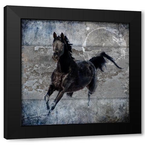 Black Mare 1 Black Modern Wood Framed Art Print by LightBoxJournal