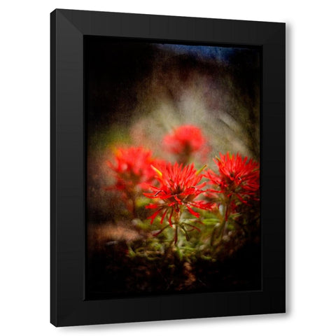 Desert Flower 1 Black Modern Wood Framed Art Print by LightBoxJournal
