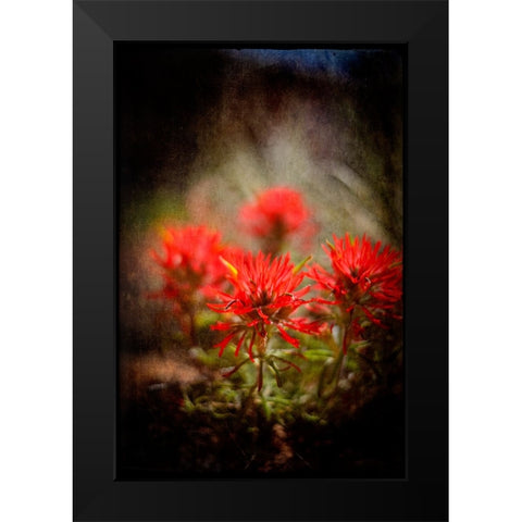 Desert Flower 1 Black Modern Wood Framed Art Print by LightBoxJournal