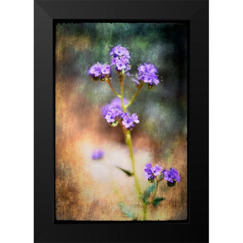 Desert Flower 2 Black Modern Wood Framed Art Print by LightBoxJournal