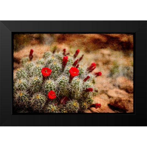 Desert Flower 3 Black Modern Wood Framed Art Print by LightBoxJournal