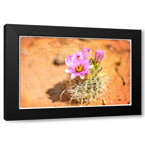 Desert Flower 4 Black Modern Wood Framed Art Print with Double Matting by LightBoxJournal