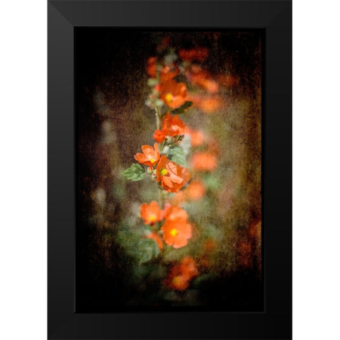 Desert Flower 5 Black Modern Wood Framed Art Print by LightBoxJournal