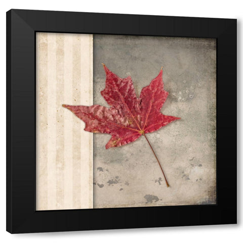 Lodge Leaf 1 Black Modern Wood Framed Art Print with Double Matting by LightBoxJournal