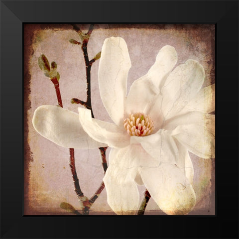 Paper Magnolia Closeup Black Modern Wood Framed Art Print by LightBoxJournal
