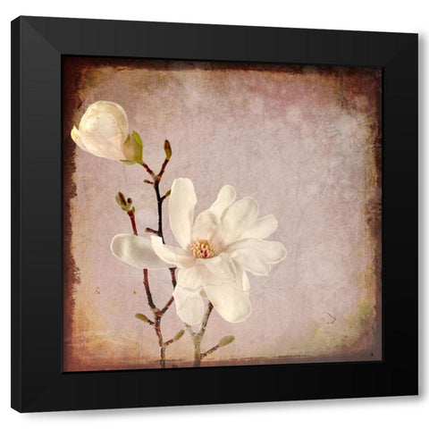Paper Magnolia Duo Black Modern Wood Framed Art Print by LightBoxJournal