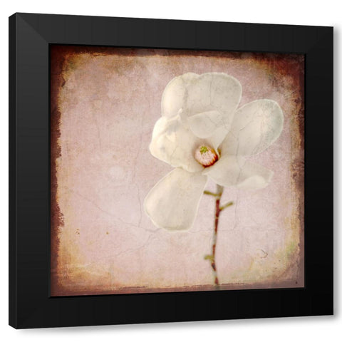 Paper Magnolia Black Modern Wood Framed Art Print by LightBoxJournal