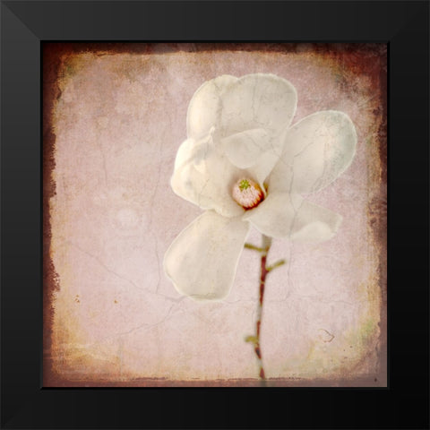 Paper Magnolia Black Modern Wood Framed Art Print by LightBoxJournal