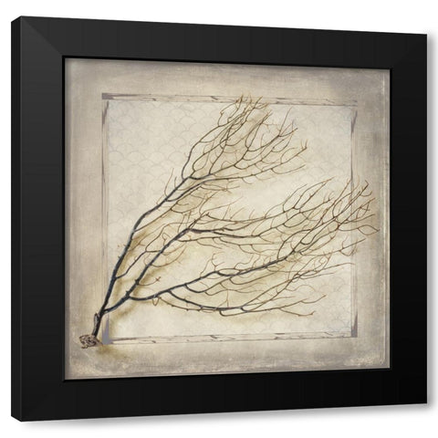 Starfish Sea Leaf Black Modern Wood Framed Art Print with Double Matting by LightBoxJournal